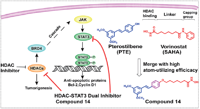 HDAC-BRD4-LIFR-JAK-STAT3źżӦ.png