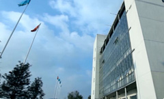 鉴黑担保网之歌